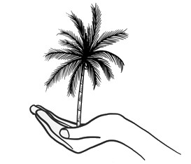 DLAŇ = anglicky PALM